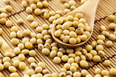 ĐIỂM DANH NHỮNG TÁC DỤNG “THẦN THÁNH” CỦA ĐẬU NÀNH TRONG LÀM ĐẸP